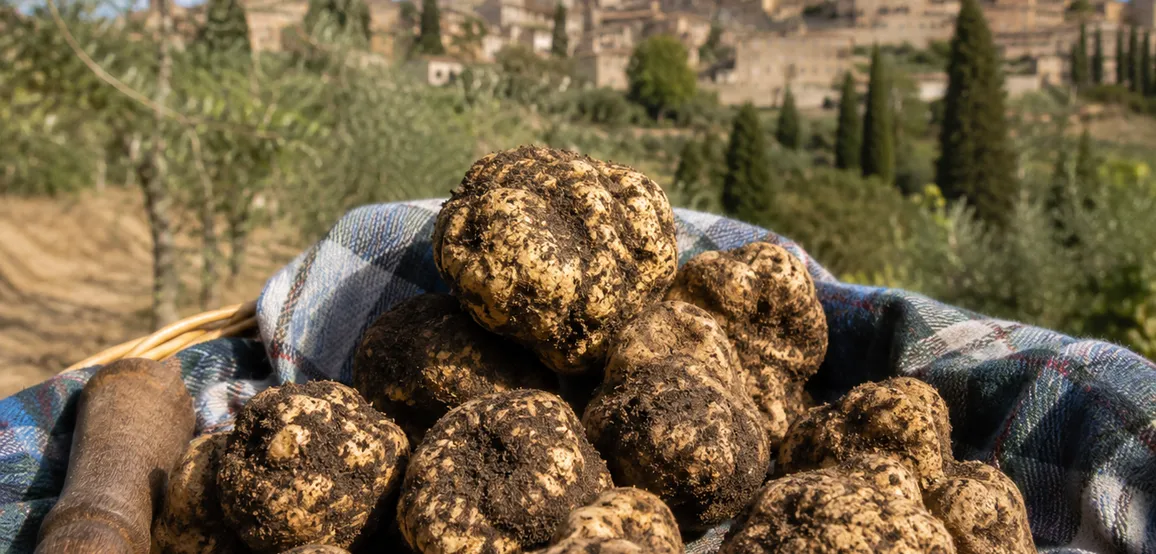 San Gimignano, its UNESCO Historic Centre and Truffle Hunting