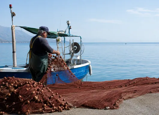 Image of The Menaica Nets of Cilento Anchovy Fishing Tradition