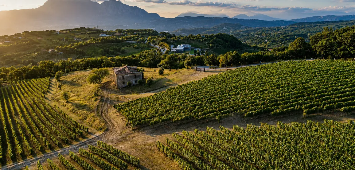Spirits and Wines of the Sannio Area