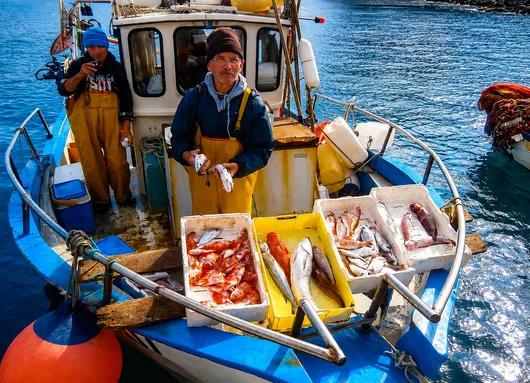 Image of Fish Market at Ischia Ponte and Cooking with Chef Calise