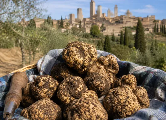 Image of San Gimignano, its UNESCO Historic Centre and Truffle Hunting