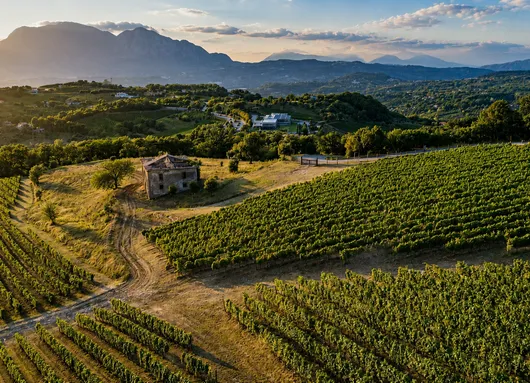 Image of Spirits and Wines of the Sannio Area